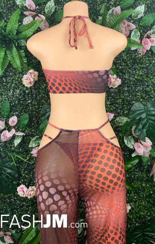  Swimsuit Three Piece Brown image1