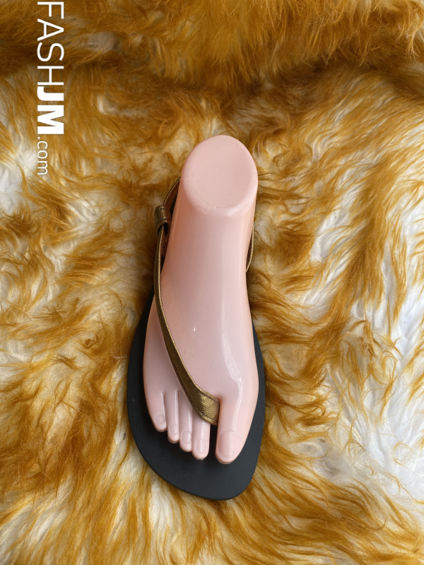  Slipper image0